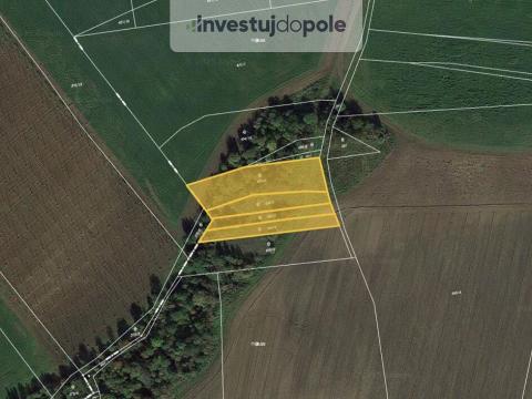 Prodej pozemku, Nové Sedlo - Číňov, 3723 m2