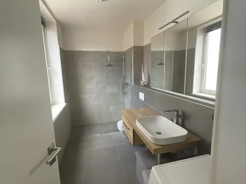 Pronájem bytu 1+kk, Nové Sady, 50 m2