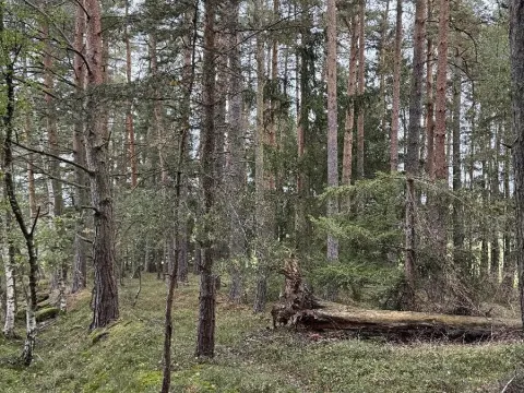 Prodej pozemku, Slavče, 13051 m2