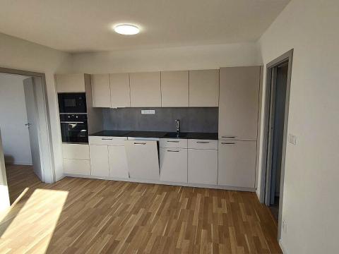 Prodej bytu 2+kk, Strakonice - Strakonice II, Dukelská, 47 m2