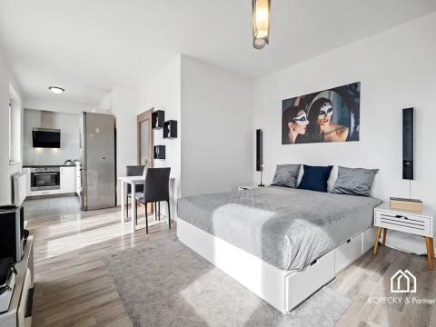 Prodej bytu 1+kk, Praha - Kyje, Farkašova, 32 m2