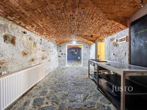 Prodej restaurace, České Budějovice, nám. Přemysla Otakara II., 48 m2