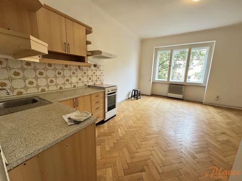 Pronájem bytu 2+kk, Praha - Bubeneč, Národní obrany, 65 m2