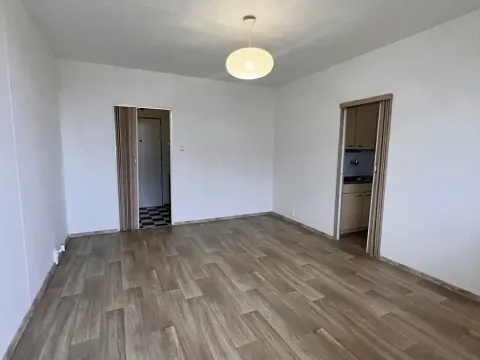 Pronájem bytu 1+1, Praha - Lhotka, Jílovská, 40 m2