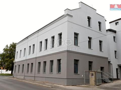 Pronájem kanceláře, Ústí nad Labem - Ústí nad Labem-centrum, Na Luhách, 13 m2