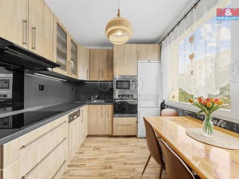 Prodej bytu 4+1, Ústí nad Labem, Pincova, 84 m2