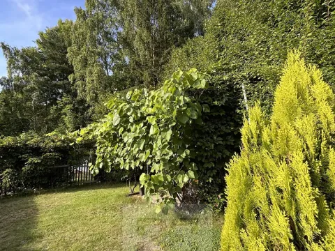 Pronájem bytu 2+1, Březová, Hamerská, 56 m2