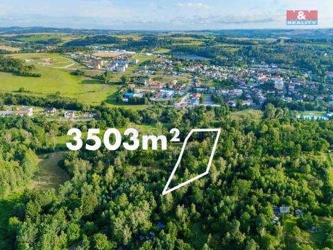 Prodej lesa, Velké Meziříčí, 3503 m2