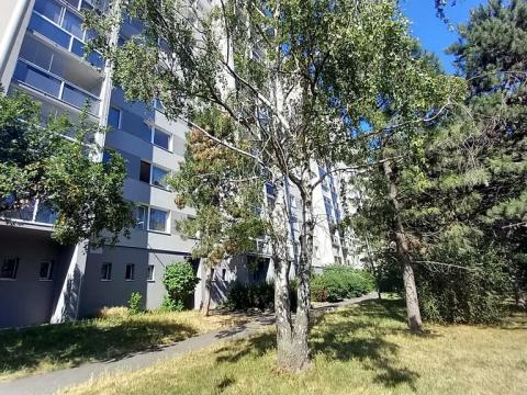 Pronájem bytu 1+kk, Praha, 29 m2