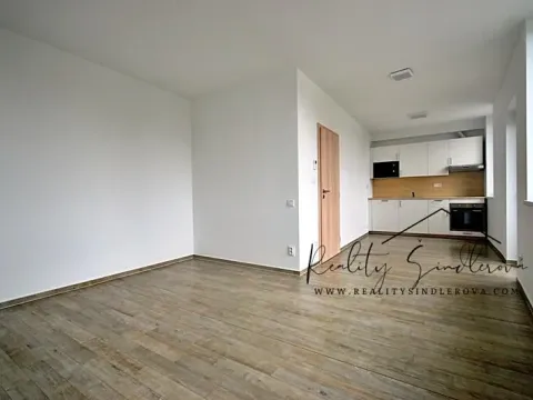 Pronájem bytu 1+kk, Olomouc, 17. listopadu, 35 m2