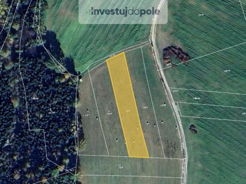 Prodej pole, Střížov, 976 m2