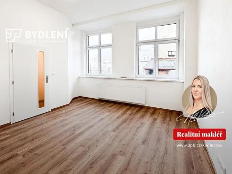 Pronájem bytu 2+kk, Teplice, Benešovo náměstí, 45 m2
