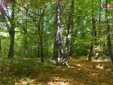 Pronájem zahrady, Stříbrná Skalice, 2295 m2