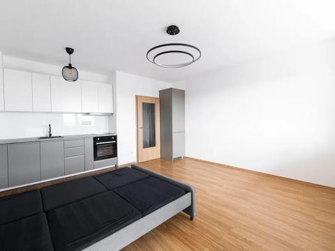 Pronájem bytu 1+kk, Praha - Michle, V dolině, 40 m2