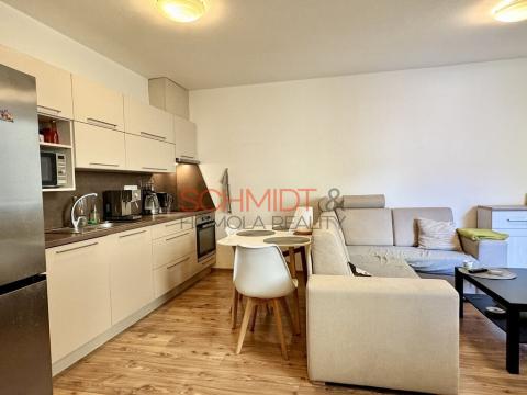 Pronájem bytu 1+kk, Hustopeče, Husova, 37 m2