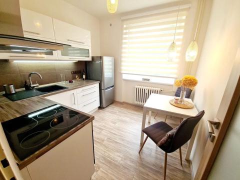 Pronájem bytu 1+1, Praha - Čimice, Minická, 40 m2