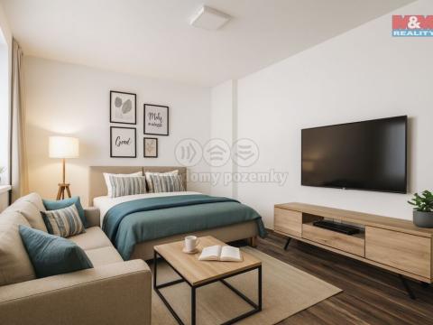Pronájem bytu 1+kk, Petrovice, 34 m2