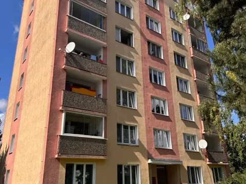 Prodej bytu 2+1, Cheb, Družstevní, 52 m2