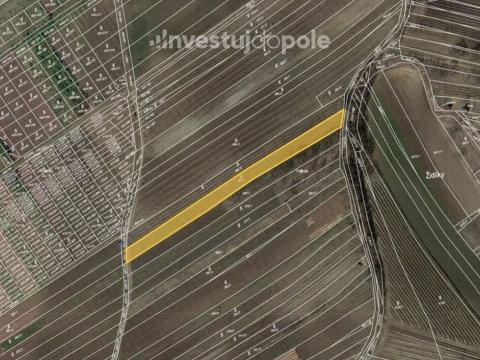 Prodej pole, Čejkovice, 1956 m2