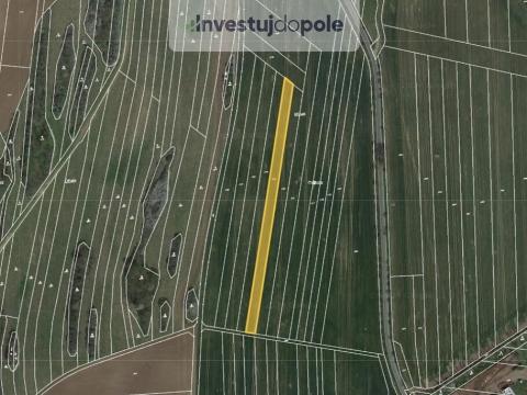 Prodej pole, Ostrov u Macochy, 3708 m2