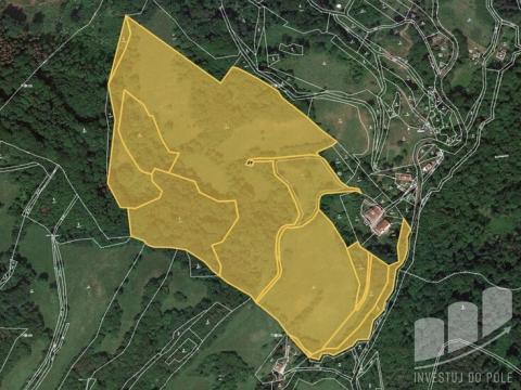 Prodej louky, Děčín - Děčín XXVI-Bechlejovice, 123694 m2
