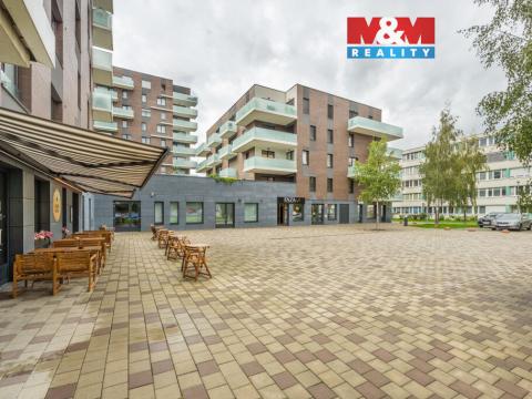 Prodej bytu 1+kk, Praha - Karlín, Nekvasilova, 38 m2