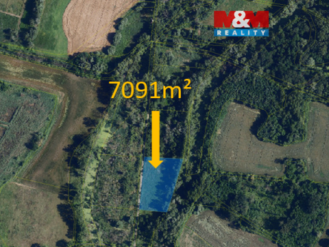 Prodej louky, Hrabětice, 7091 m2