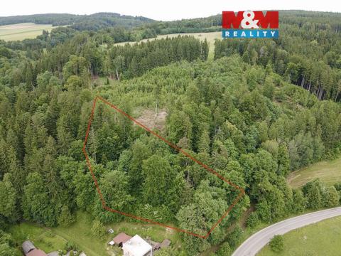Prodej lesa, Ústí nad Orlicí - Oldřichovice, 2745 m2