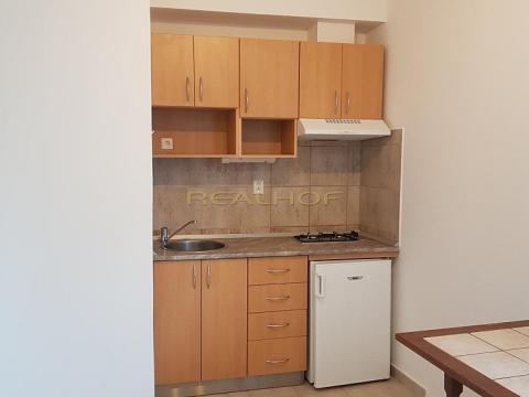 Pronájem bytu 1+kk, Brno - Lesná, Seifertova, 20 m2