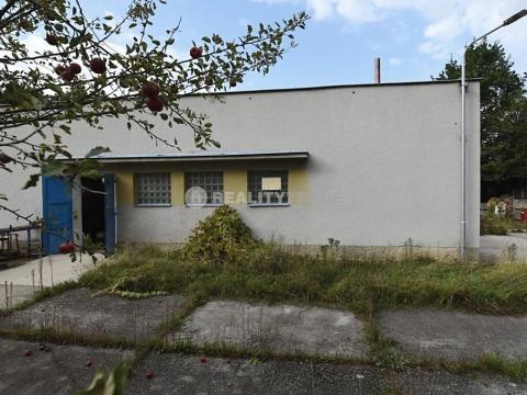 Prodej komerční nemovitosti, Vodňany, 99 m2