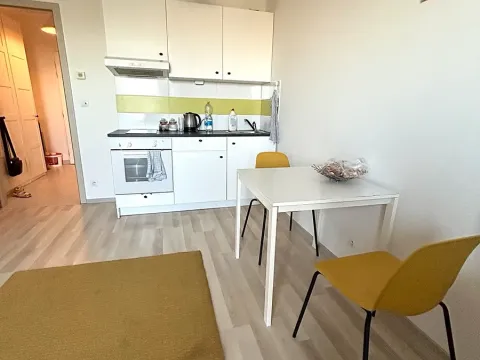 Pronájem bytu 1+kk, Praha - Horní Měcholupy, Mantovská, 40 m2