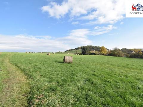 Prodej pozemku, Děčín, 29187 m2