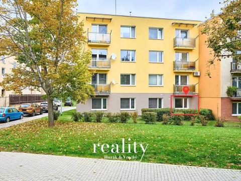 Prodej bytu 1+kk, Znojmo, Jindřicha Hořejšího, 19 m2