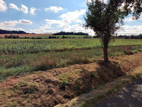 Dražba pole, Velečín, 26965 m2