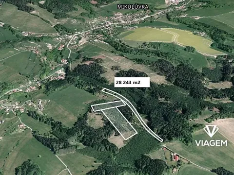 Prodej lesa, Mikulůvka, 28243 m2