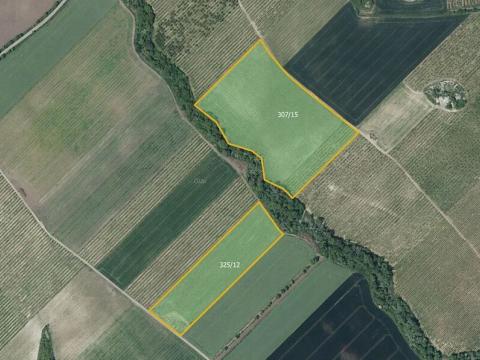 Prodej sadu/vinice, Želkovice, 133318 m2