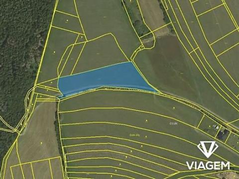 Prodej podílu pole, Velenov, 1994 m2