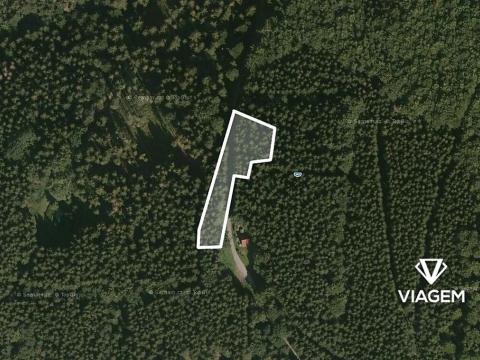 Prodej podílu lesa, Morávka, 2066 m2