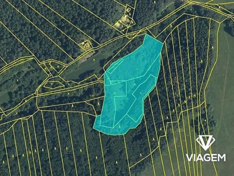 Prodej podílu zahrady, Vlachovice, 2289 m2