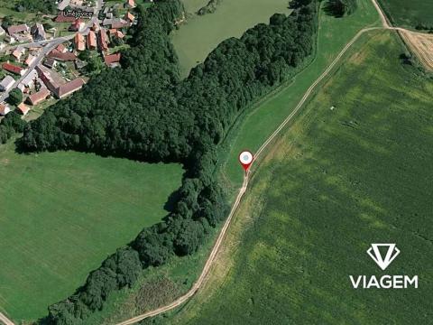 Prodej podílu lesa, Únějovice, 880 m2