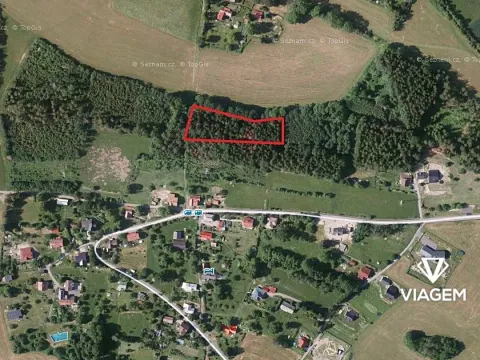 Prodej podílu lesa, Skuhrov, 1301 m2