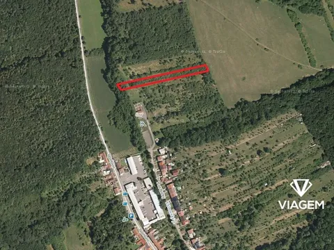 Prodej podílu lesa, Veletiny, 393 m2
