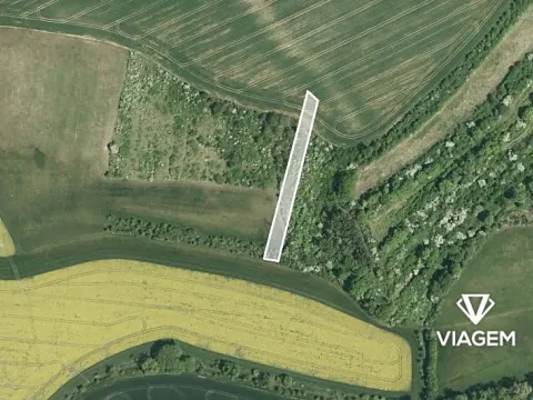 Prodej podílu pole, Šelešovice, 991 m2