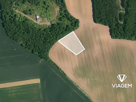 Prodej pole, Vinařice, 8555 m2