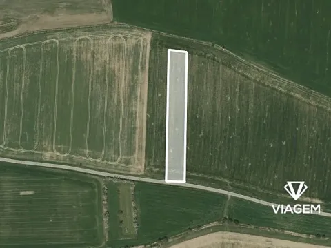 Prodej podílu pole, Dražíč, 641 m2