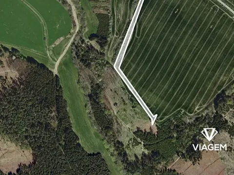 Prodej pole, Zbizuby, 1164 m2