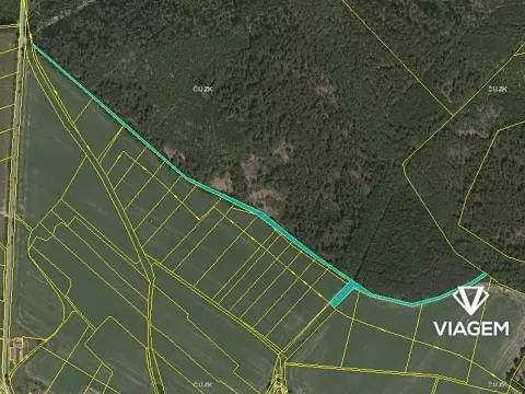 Prodej podílu pole, Radenín, 2423 m2