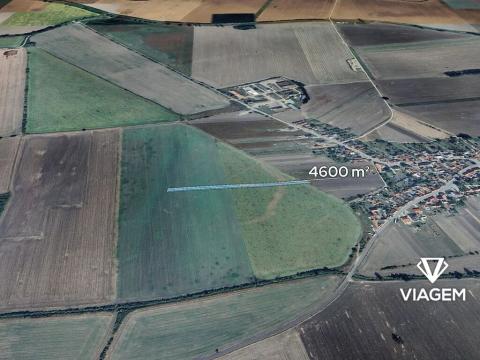 Prodej pole, Kněždub, 4600 m2