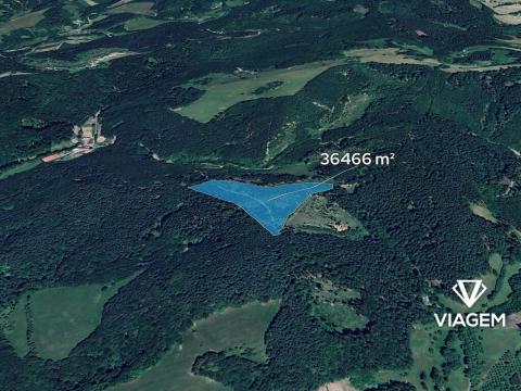 Prodej lesa, Všemina, 36466 m2