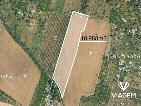 Prodej podílu pole, Třebenice, 5494 m2
